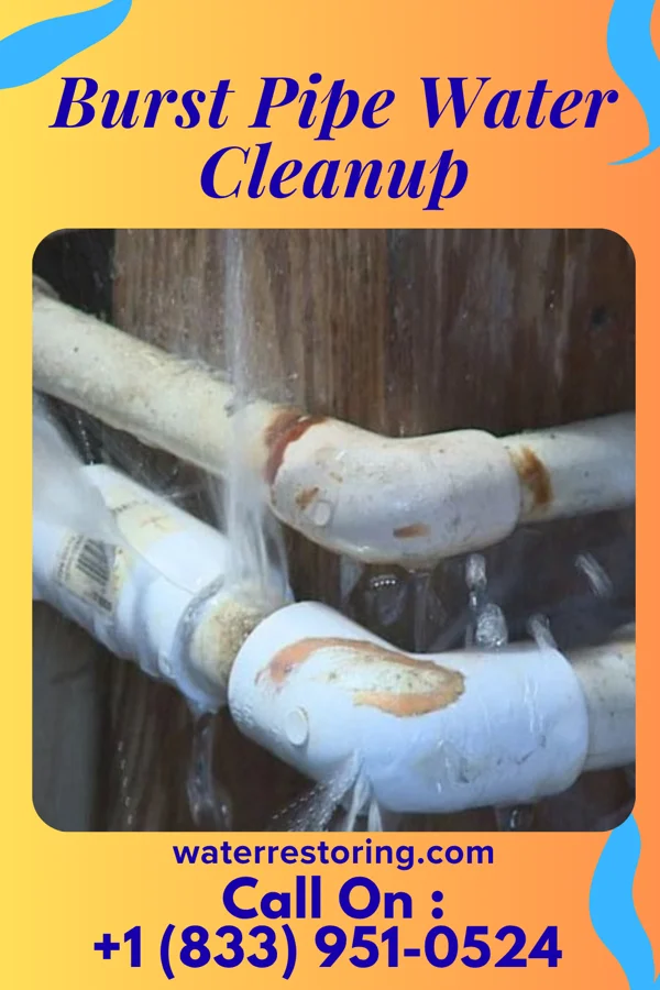 Burst Pipe Water Cleanup in Country Squire Lakes, IN