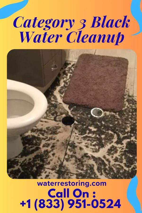 Category 3 Black Water Cleanup in Country Squire Lakes, IN