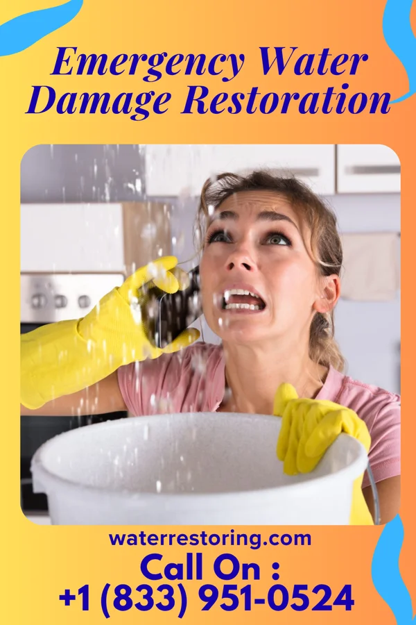 Emergency Water Damage Restoration in Country Squire Lakes, IN